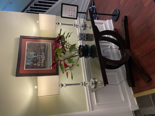 Entry table, lamps, custom framing for original photo